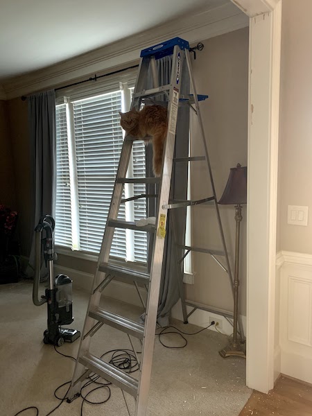 A zoomed out shot of Dexter near the top of a tall ladder