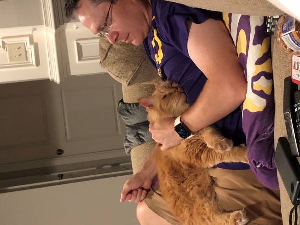 Dexter laying on my dad's stomach. Dad's hand is resting on him