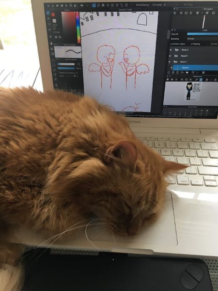 Dexter laying on my Macbook while I'm trying to draw